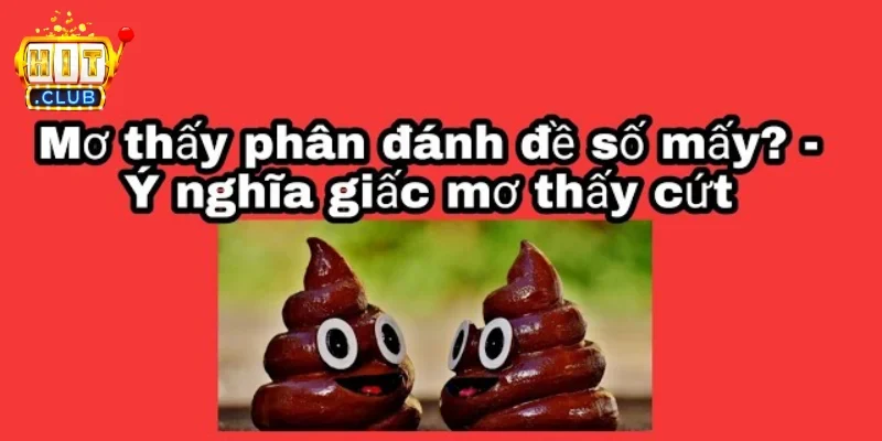 Nằm mơ thấy cứt - Tổng quan về ý nghĩa của giấc mơ 2 Nằm mơ thấy cứt là gì?