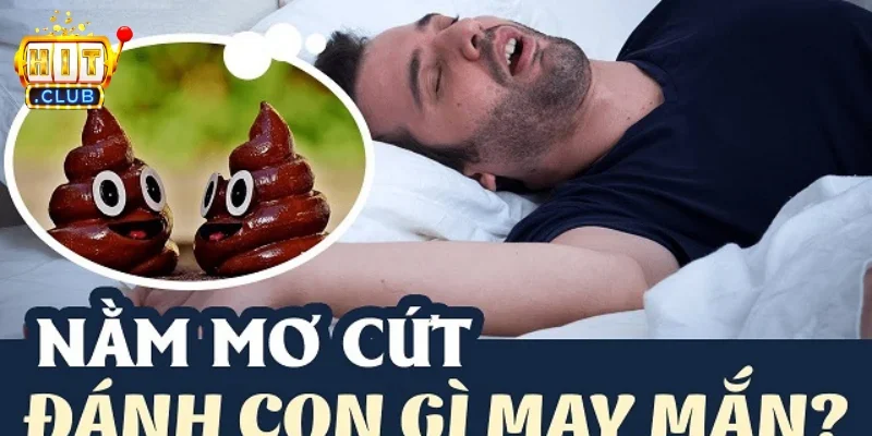 Nằm mơ thấy cứt - Tổng quan về ý nghĩa của giấc mơ 3 Những yếu tố ảnh hưởng đến nội dung giấc mơ